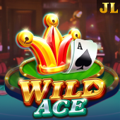 Wild Ace slot on Gamdom